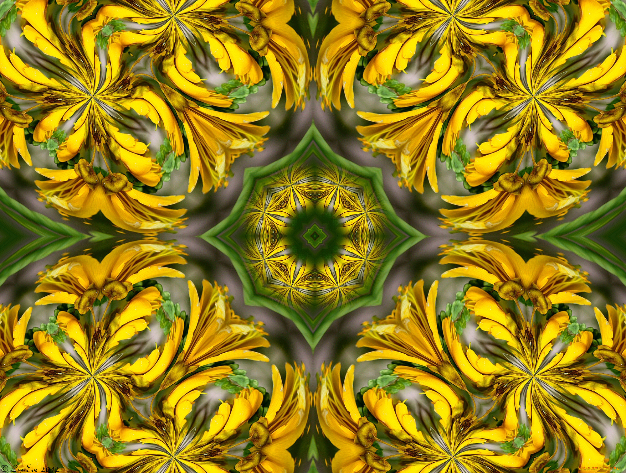 , , , 